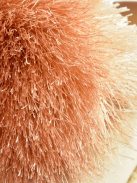 Miana női papucs GILDA